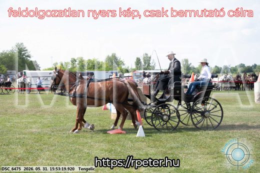 Mintakép 20260531-118