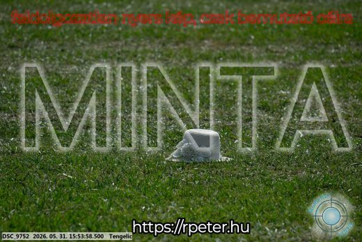 Mintakép 20260531-124