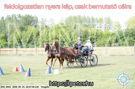 Mintakép 20260531-129