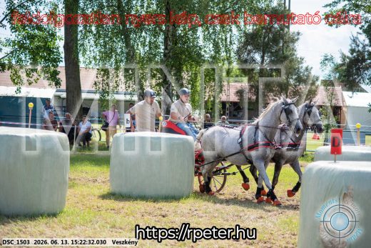 Mintakép 20260613-229