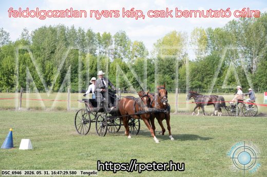 Mintakép 20260531-131