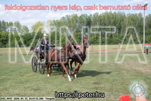 Mintakép 20260531-132