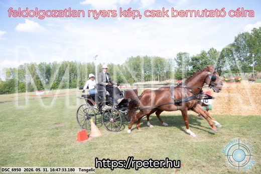 Mintakép 20260531-134