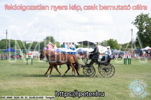 Mintakép 20260531-136