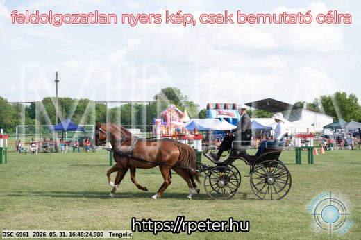 Mintakép 20260531-137