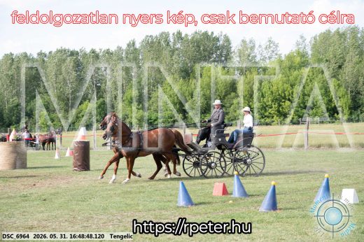 Mintakép 20260531-140