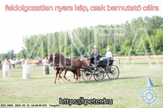 Mintakép 20260531-141