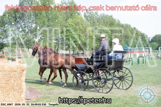 Mintakép 20260531-142