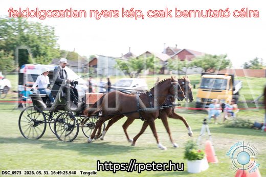 Mintakép 20260531-148