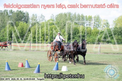 Mintakép 20260531-149