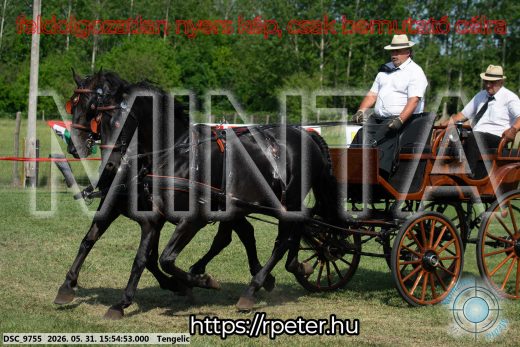 20260531-155453-DSC_9755.jpg