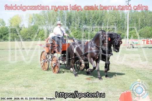 Mintakép 20260531-155