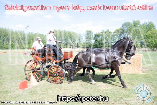 Mintakép 20260531-156