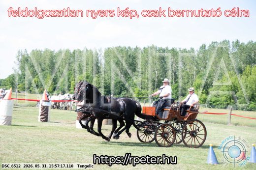 Mintakép 20260531-159