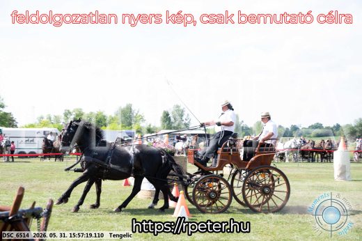 Mintakép 20260531-160