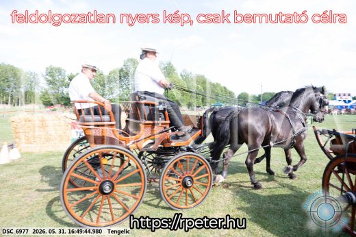 Mintakép 20260531-165