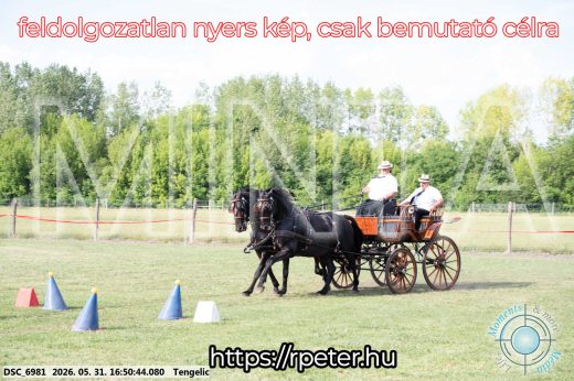 Mintakép 20260531-167