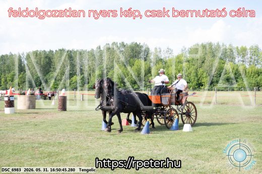 Mintakép 20260531-169