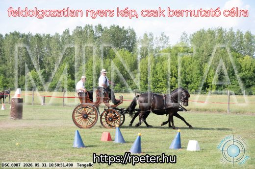 Mintakép 20260531-172