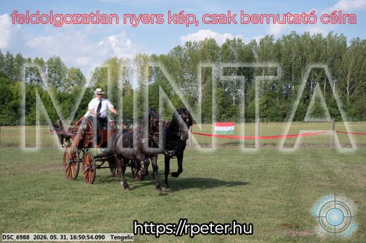 Mintakép 20260531-173