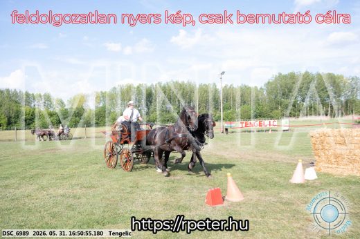 Mintakép 20260531-174