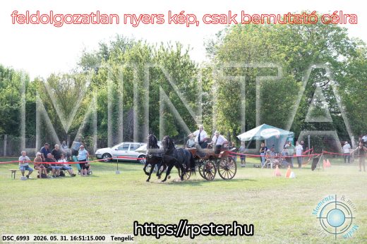 Mintakép 20260531-177