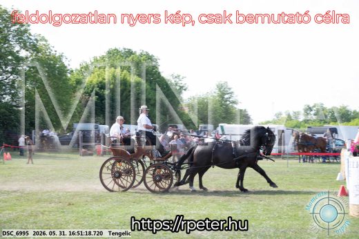 Mintakép 20260531-179