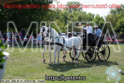 20260531-155832-DSC_6527.jpg