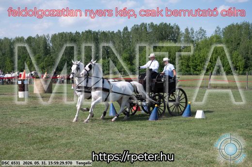 Mintakép 20260531-191
