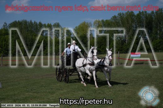 Mintakép 20260531-192