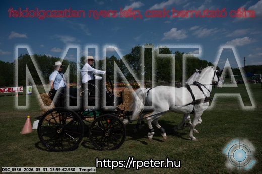 Mintakép 20260531-194