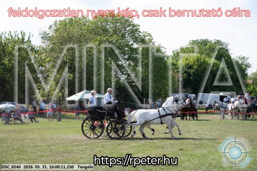 Mintakép 20260531-196