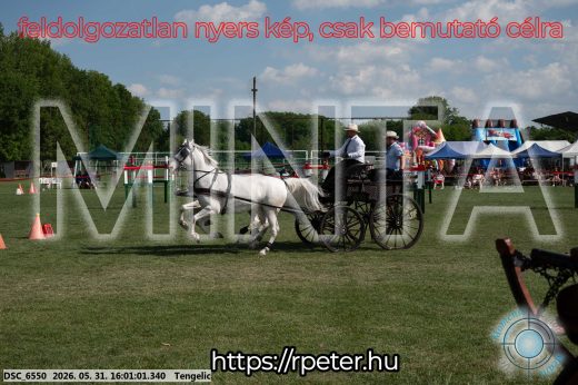 Mintakép 20260531-202
