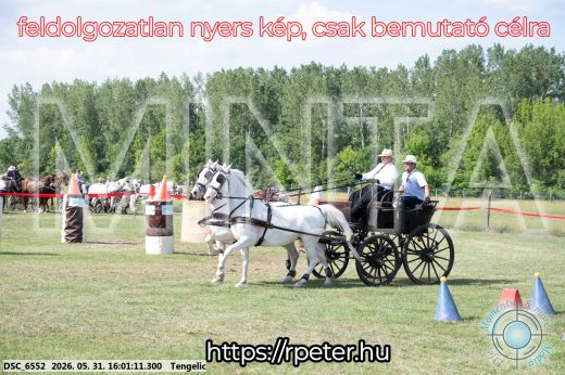 Mintakép 20260531-203