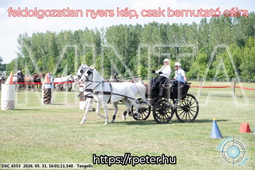 Mintakép 20260531-204