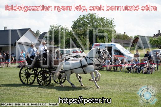 Mintakép 20260531-207