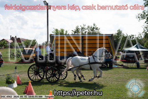 Mintakép 20260531-208