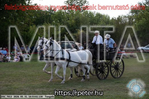 Mintakép 20260531-211