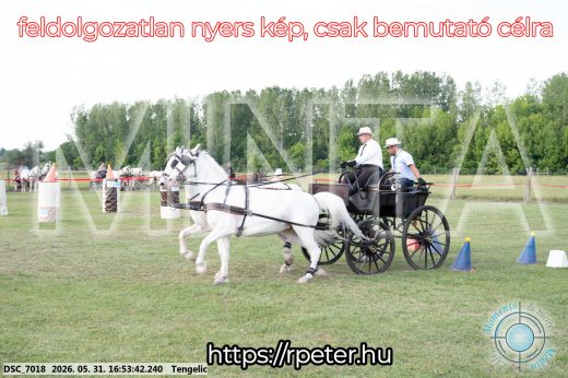 Mintakép 20260531-215