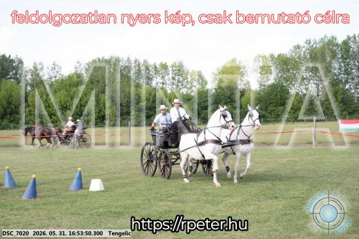 Mintakép 20260531-217