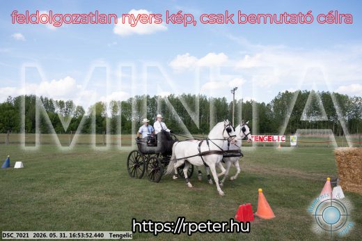 Mintakép 20260531-218