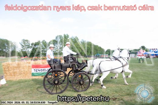 Mintakép 20260531-221