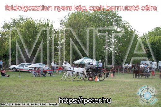 Mintakép 20260531-222