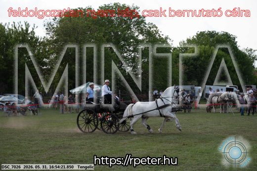 Mintakép 20260531-223