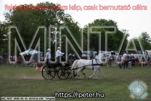 Mintakép 20260531-224