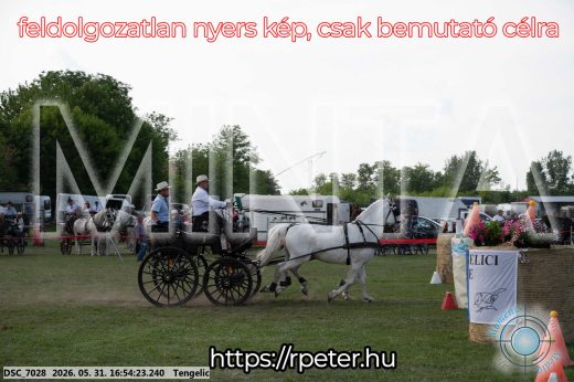 Mintakép 20260531-225