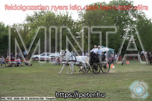 Mintakép 20260531-228