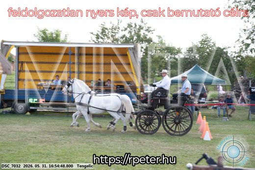 Mintakép 20260531-229