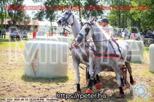 Mintakép 20260613-239
