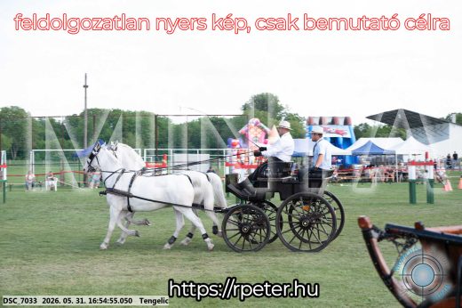 Mintakép 20260531-230